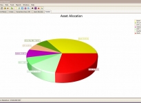 Asset Allocation Pie